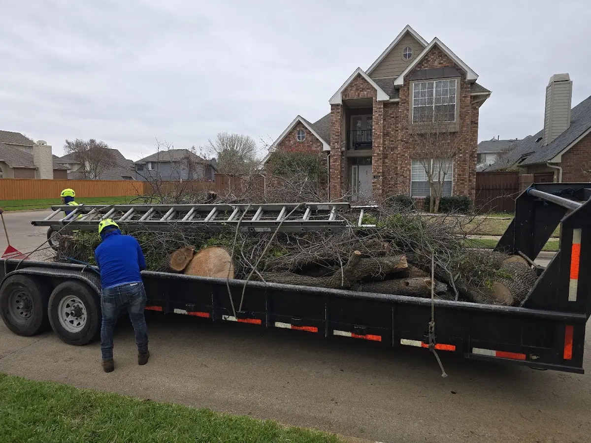 Expert Tree Fertilization with proper safety equipment in Guy